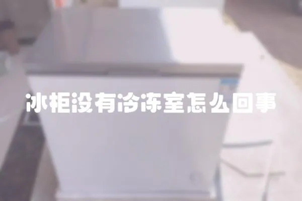 冰柜没有冷冻室怎么回事