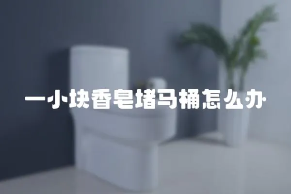 一小塊香皂堵馬桶怎么辦
