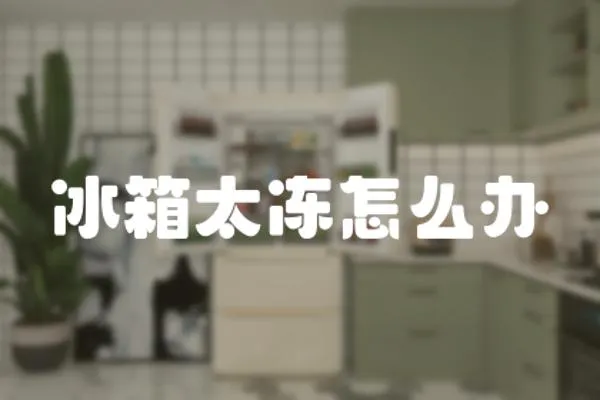 冰箱太凍怎么辦