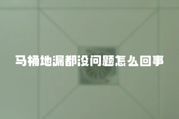 馬桶地漏都沒問題怎么回事
