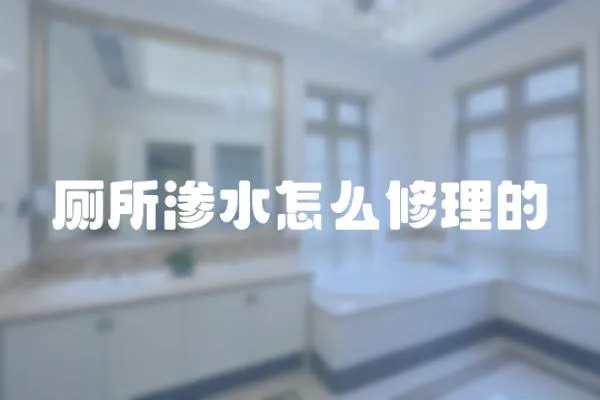 廁所滲水怎么修理的