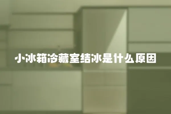 小冰箱冷藏室結(jié)冰是什么原因