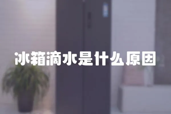 冰箱滴水是什么原因