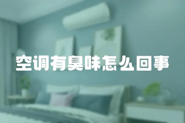 空調有臭味怎么回事