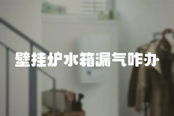 壁掛爐水箱漏氣咋辦