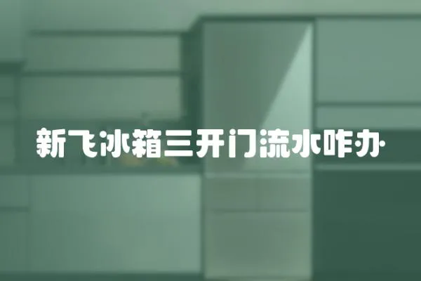 新飛冰箱三開門流水咋辦