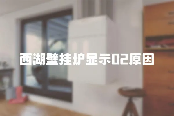 西湖壁掛爐顯示02原因