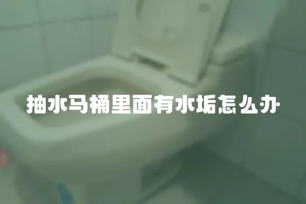 抽水馬桶里面有水垢怎么辦