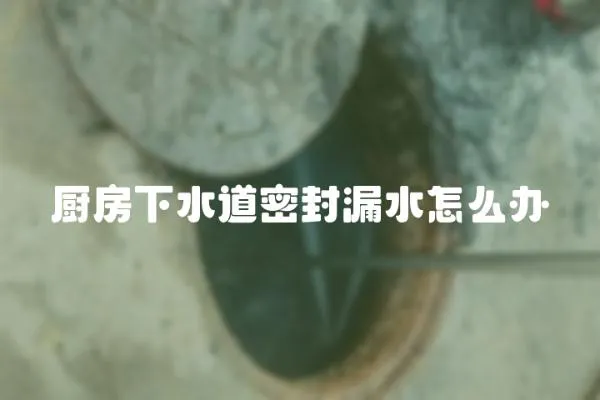 廚房下水道密封漏水怎么辦