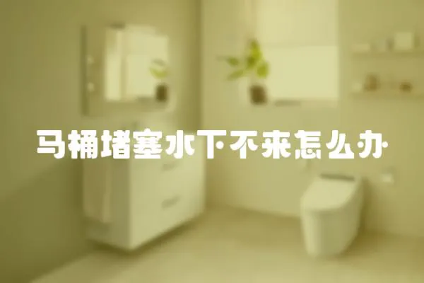 馬桶堵塞水下不來怎么辦