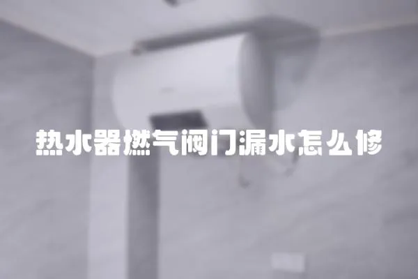 熱水器燃氣閥門漏水怎么修
