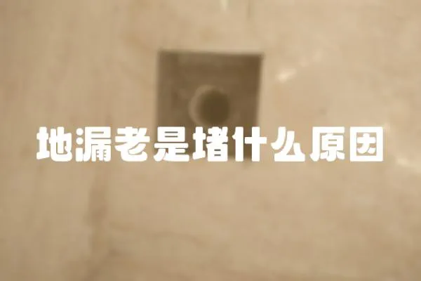 地漏老是堵什么原因