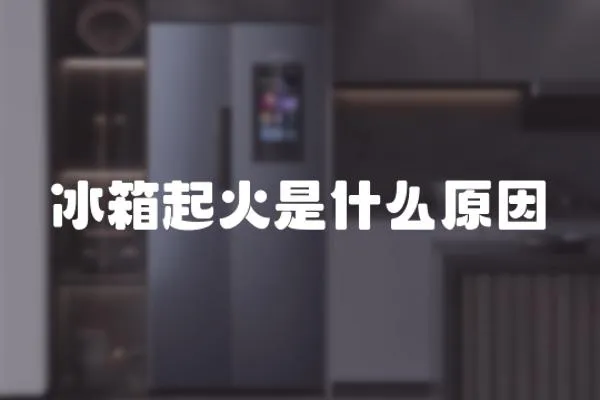 冰箱起火是什么原因