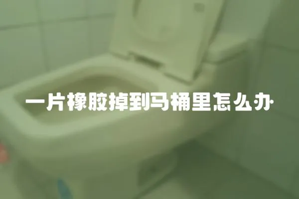 一片橡膠掉到馬桶里怎么辦