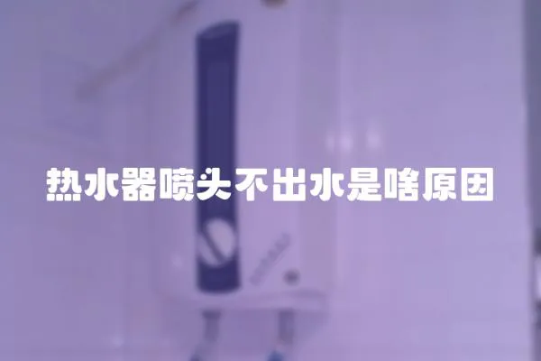 熱水器噴頭不出水是啥原因
