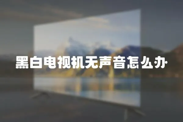 黑白電視機無聲音怎么辦