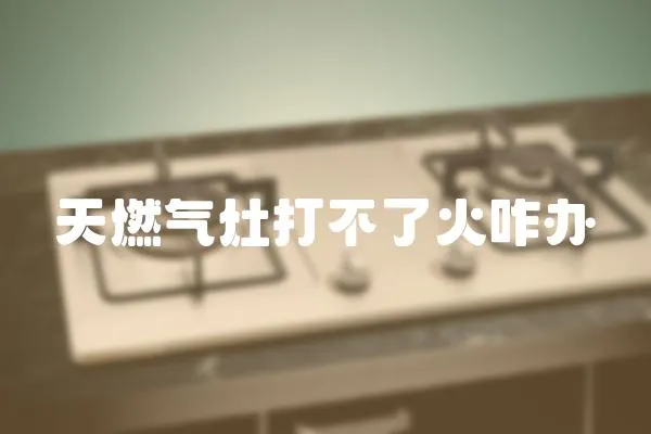 天燃氣灶打不了火咋辦