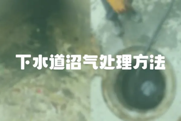 下水道沼氣處理方法