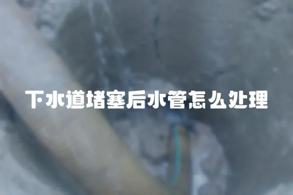 下水道堵塞后水管怎么處理