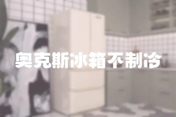 奧克斯冰箱不制冷