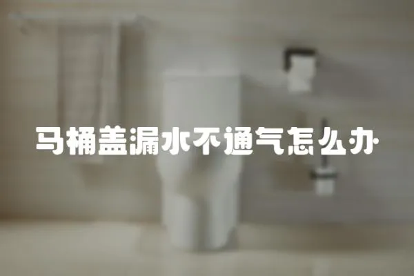 馬桶蓋漏水不通氣怎么辦