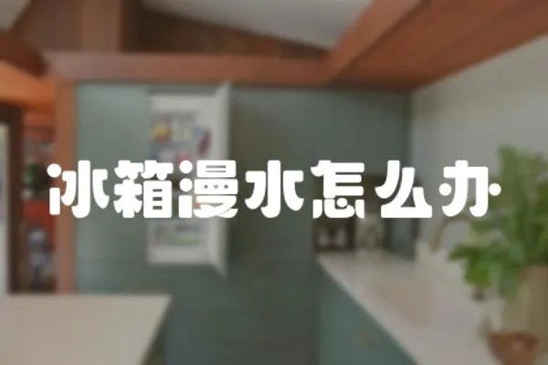 冰箱漫水怎么辦