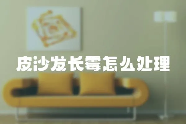 皮沙發(fā)長霉怎么處理