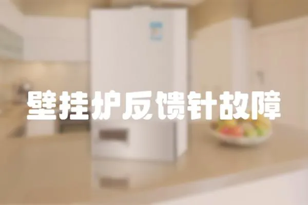 壁掛爐反饋針故障