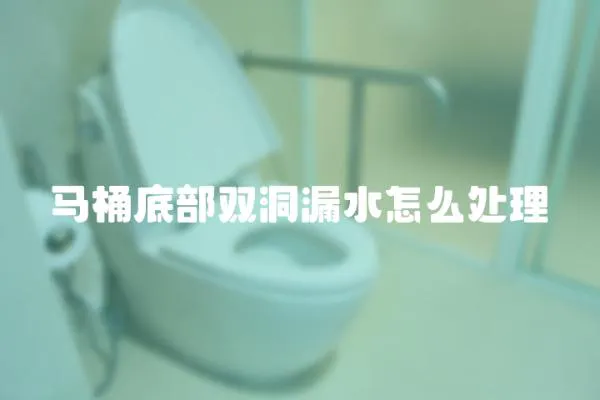 馬桶底部雙洞漏水怎么處理