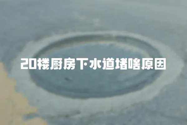 20樓廚房下水道堵啥原因