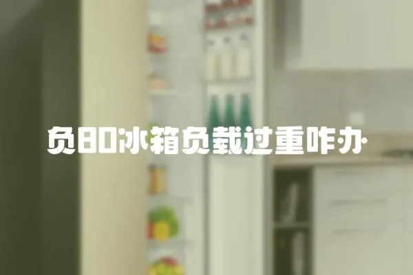 負80冰箱負載過重咋辦