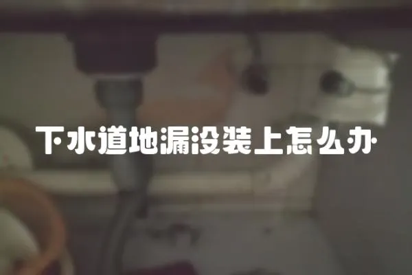 下水道地漏沒裝上怎么辦