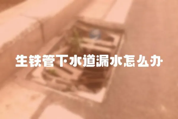 生鐵管下水道漏水怎么辦