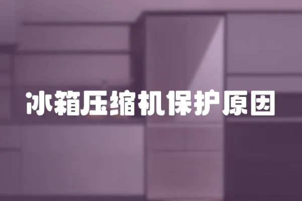 冰箱壓縮機保護原因