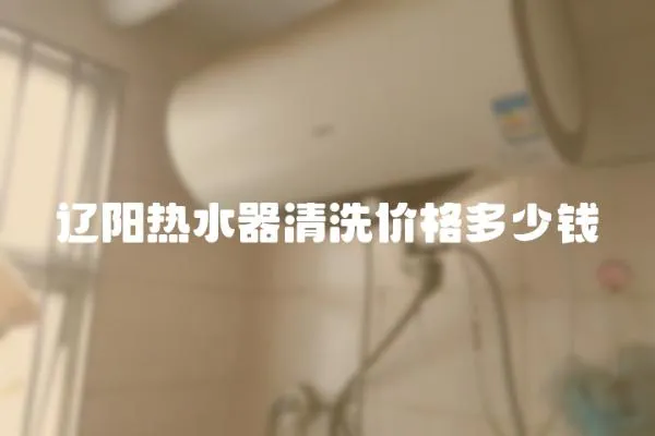 遼陽熱水器清洗價格多少錢