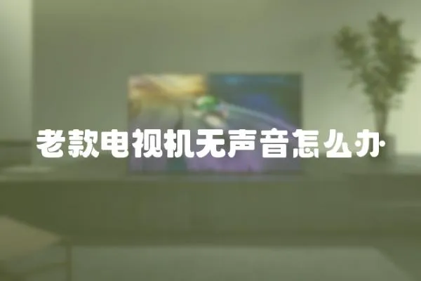 老款電視機無聲音怎么辦
