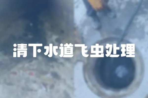 清下水道飛蟲處理