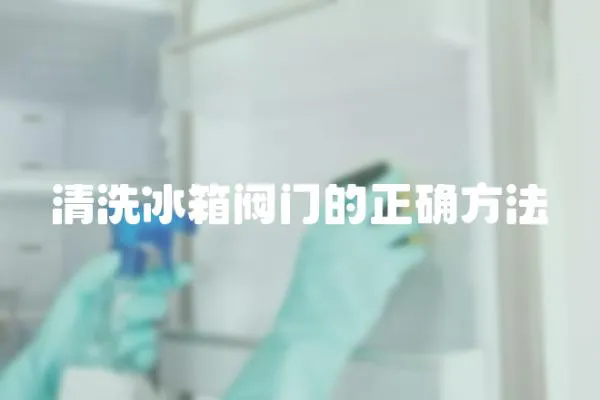 清洗冰箱閥門的正確方法