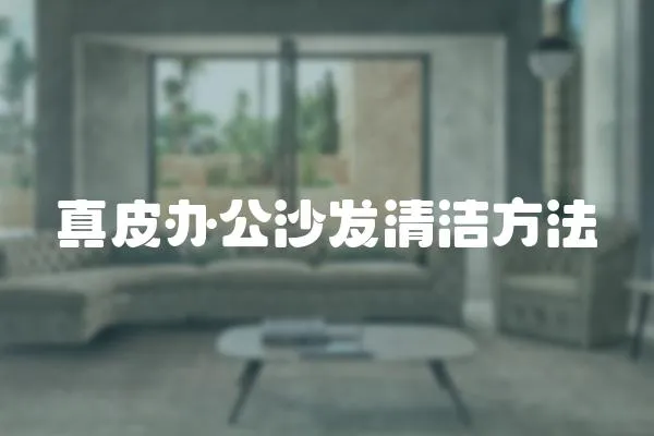 真皮辦公沙發清潔方法