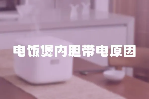 電飯煲內膽帶電原因
