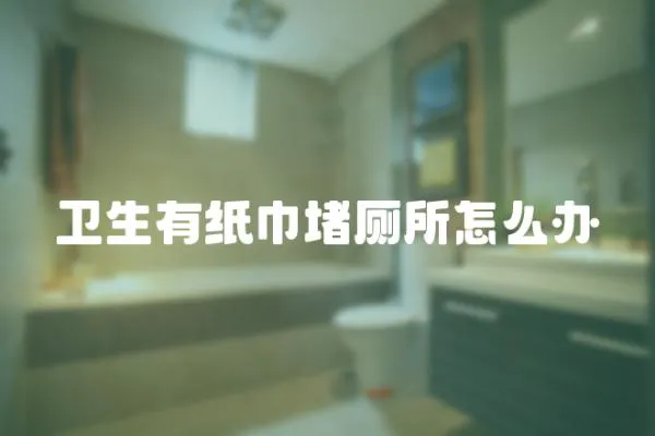 衛生有紙巾堵廁所怎么辦