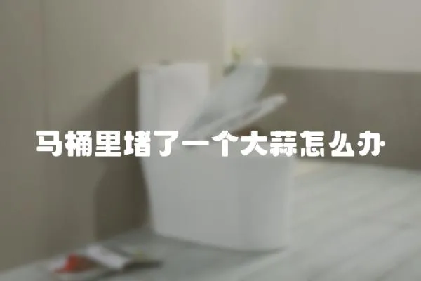 馬桶里堵了一個大蒜怎么辦
