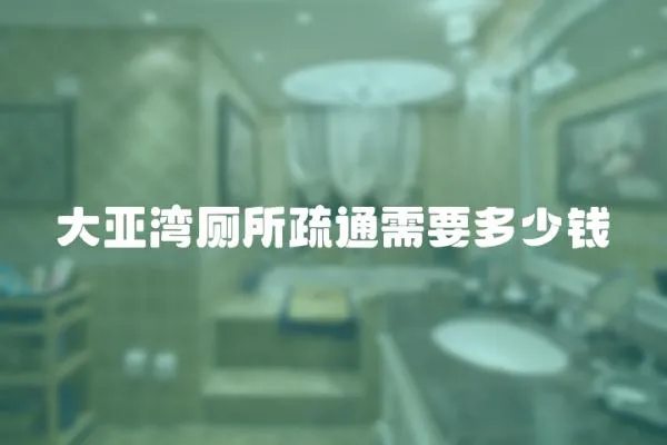 大亞灣廁所疏通需要多少錢