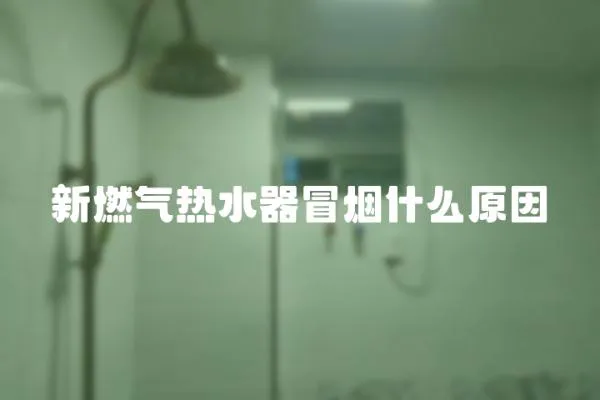 新燃氣熱水器冒煙什么原因