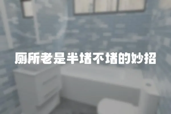 廁所老是半堵不堵的妙招