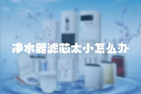 凈水器濾芯太小怎么辦