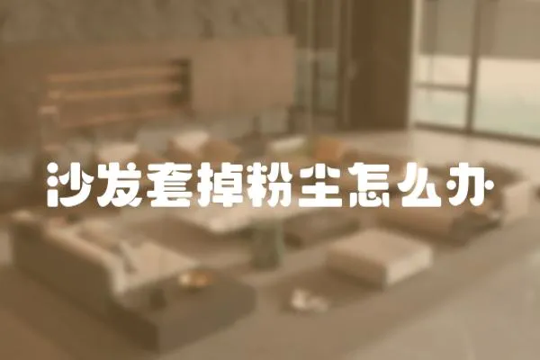 沙發套掉粉塵怎么辦