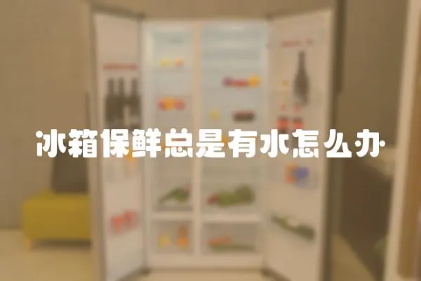 冰箱保鮮總是有水怎么辦