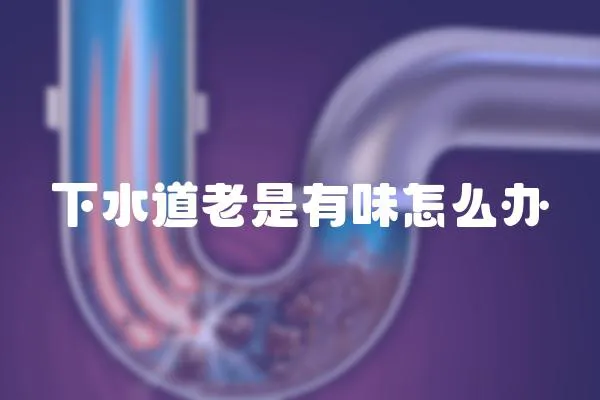下水道老是有味怎么辦