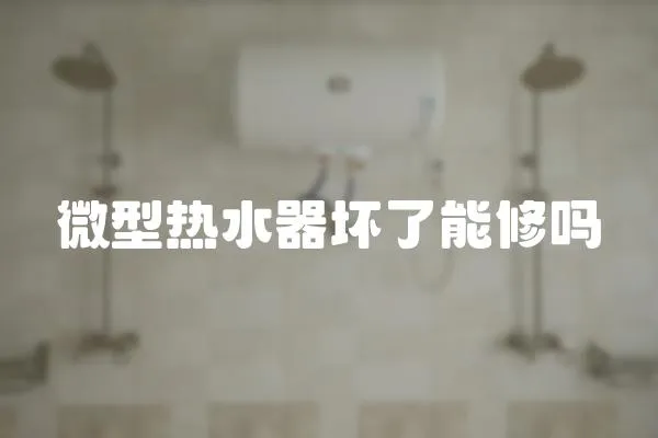 微型熱水器壞了能修嗎